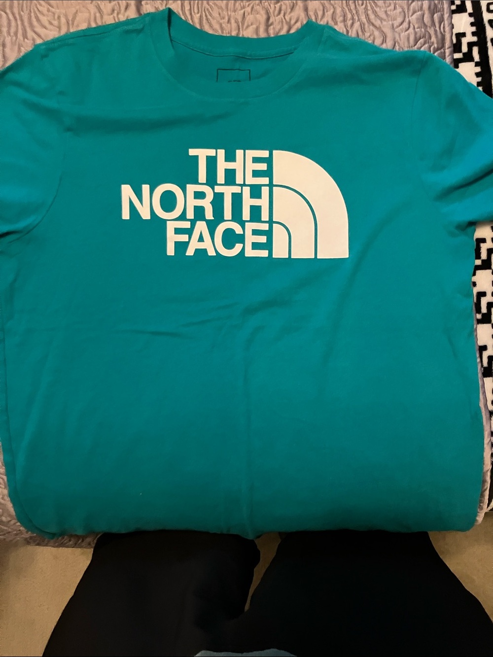 The North Face Teal T-shirt